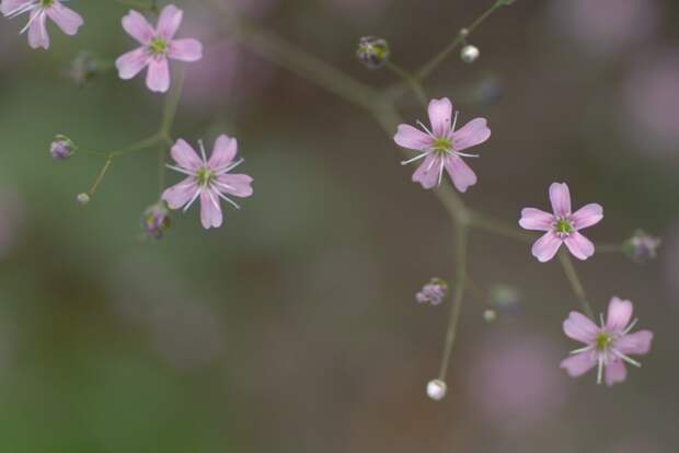Есть только миг между прошлым и будущем... Есть только миг между прошлым и будущем...