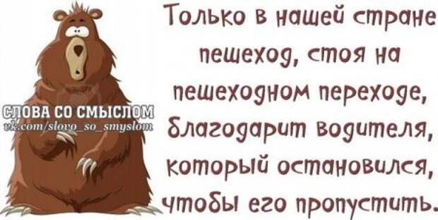 С бодрым утром...Позитив на связи.