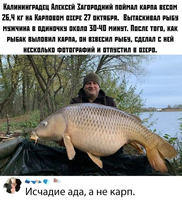 kartinok-prikolnyh-podborka-kartinki-smeshnye-kartinki-fotoprikoly