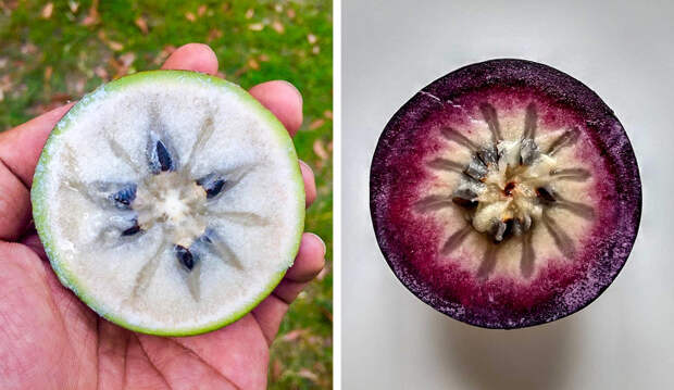 16 редких экзотических фруктов, которые вы увидите в первый раз (Вот бы пакау попробовать!)