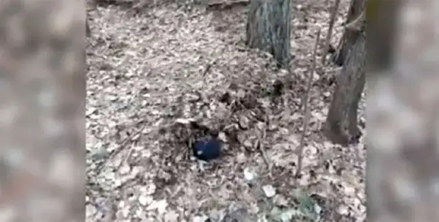 Страшная находка: в бобруйском микрорайоне обнаружили мертвого мужчину в майке, без обуви и без носок.