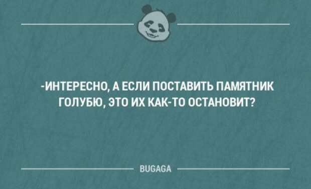 Смешные фразы и мысли в картинках с надписями. Часть 67 (20 шт)