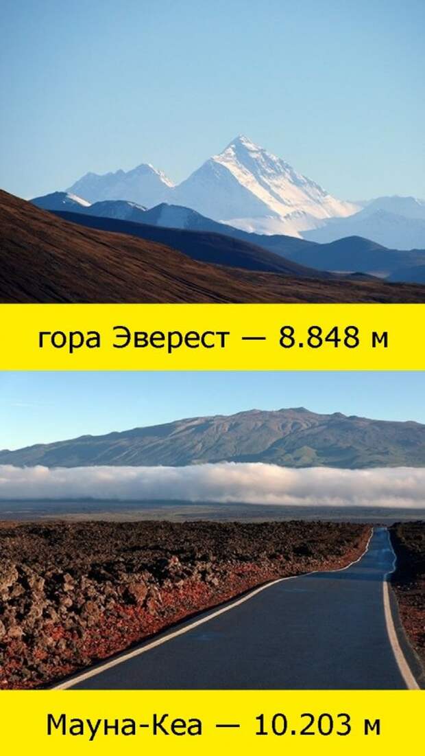 ТОП-10: Факты о нашем мире, которые вы не знали
