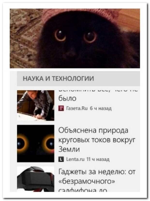 Прикольные комментарии из социальных сетей