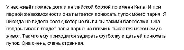 Забавные привычки наших любимых питомцев Забавные привычки наших любимых питомцев