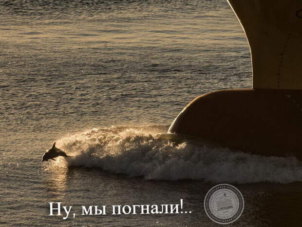 Ну, мы погнали!