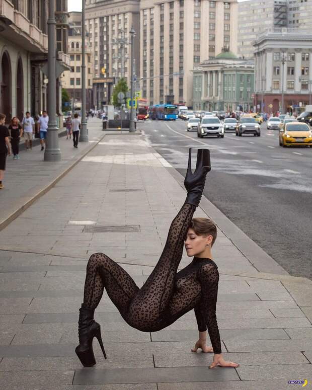 А ничего у них там плитка в Москве! А ничего у них там плитка в Москве!
