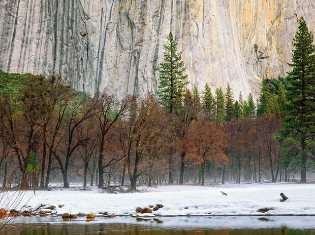 Лучшие фото National Geographic