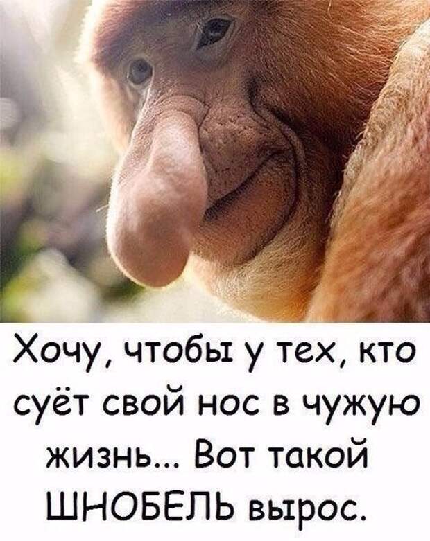 Подборка картинок и фотографий с надписями (10 фото)