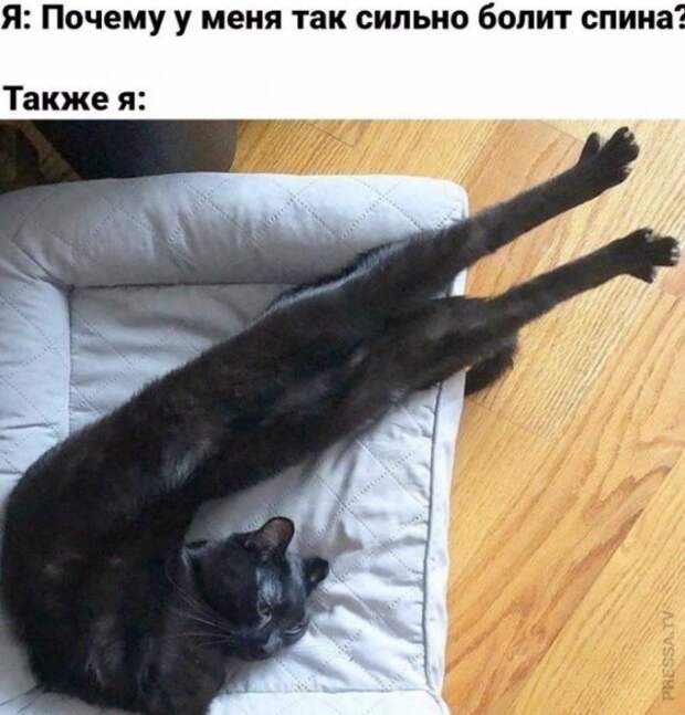 Почему болит спина