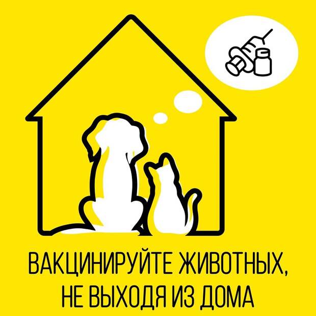 WhatsApp-Image-2020-04-09-at-11.56.53