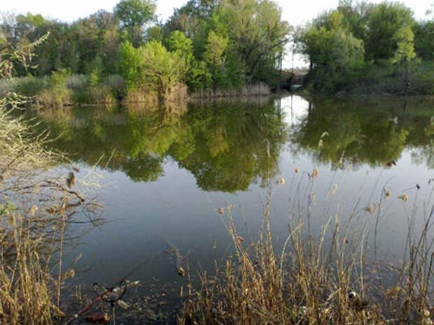 Водоем со стоячей водой. Пруд Ореховка. Река Ореховка. Пруд Ореховка воронка. Малая буйвола река в село Ореховка.