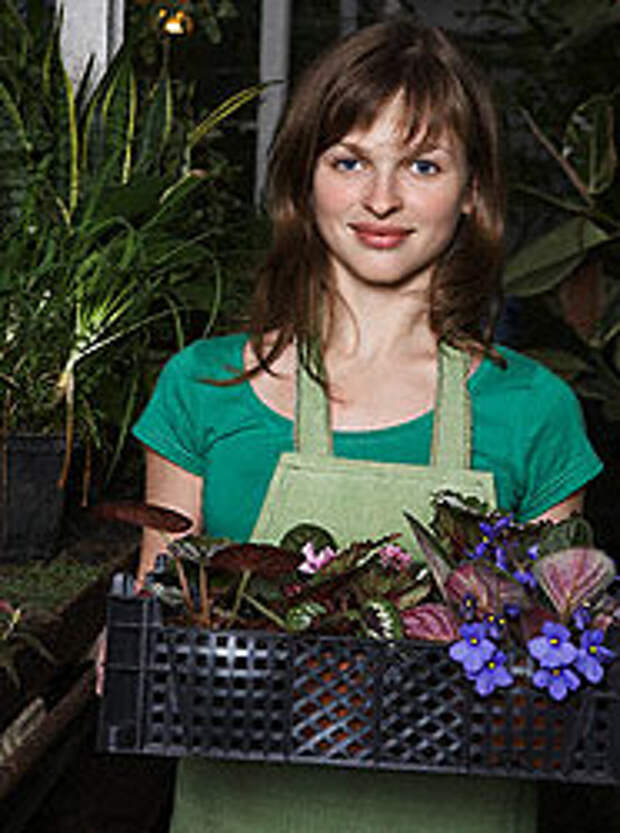 Уборка по фэн-шуй