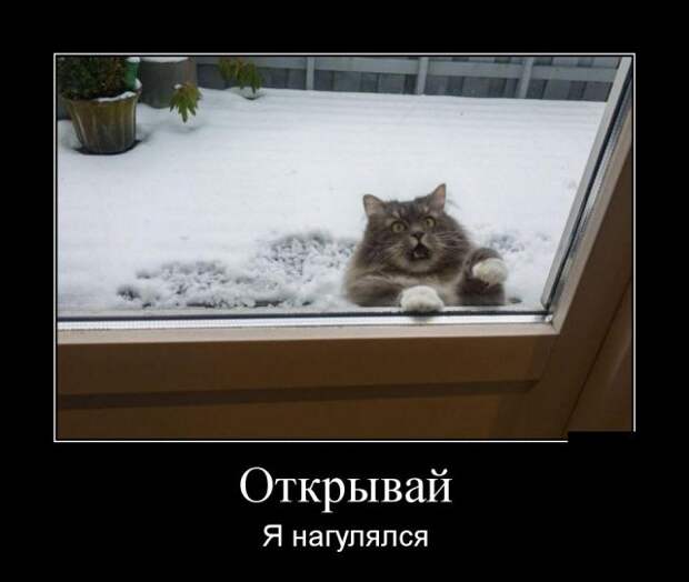 Демотиваторы (30 фото)