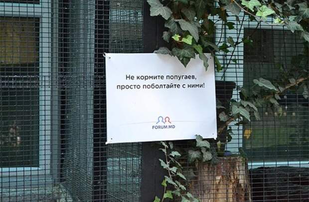 Добро пожаловать в зоопарк!