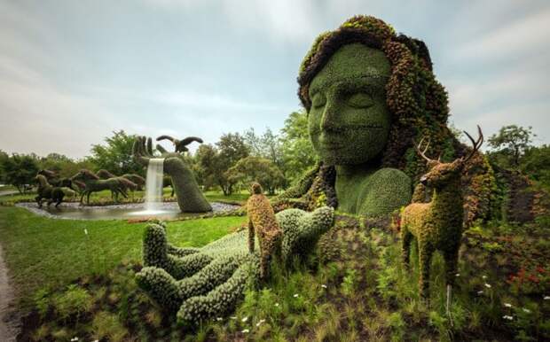 Топиари - искусство зеленых скульптур