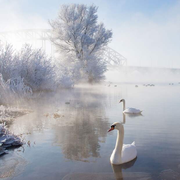 gorgeous-winter-landscapes-17.jpg