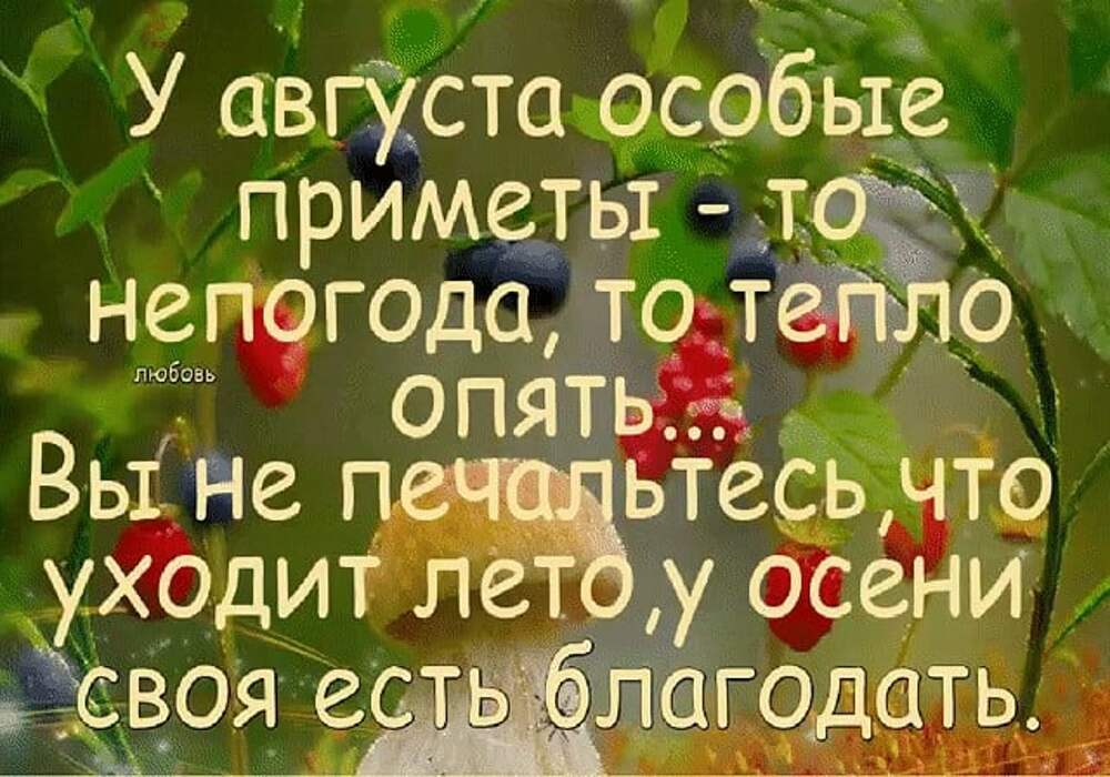 Опять тепло. Август цитаты картинки. У августа особые приметы. Тост за уходящее лето. У августа особые приметы то непогода то тепло опять.