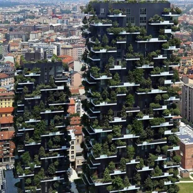 1481223075_85