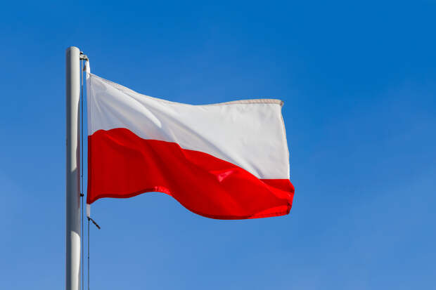 В Польше обвинили женщин в нежелании рожать детей и пристрастии к алкоголю