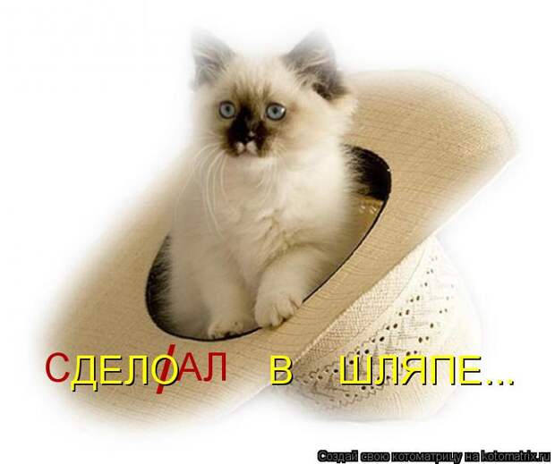 Котоматрица: С / АЛ ДЕЛО        В    ШЛЯПЕ...