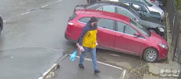 Полицейскими Подмосковья задержан подозреваемый в серии телефонных мошенничеств