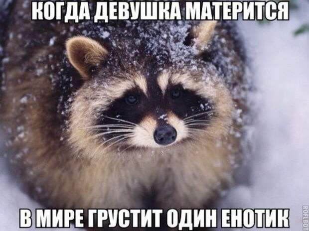 Фотоприколы и позитив