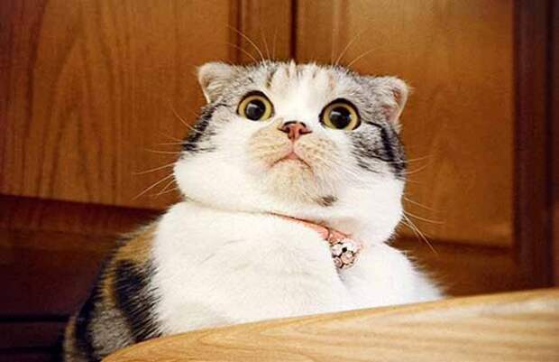 adf039c0b9441aa49ae7ee8230962c5e