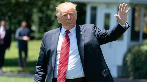Кто получит Нобелевскую премию мира в 2020? Трамп, Путин или Тунберг