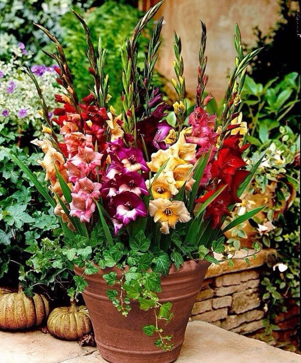 image (4) (579x699, 618Kb)