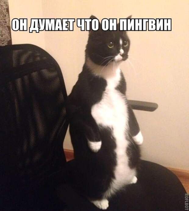 9mphZjDWYjM