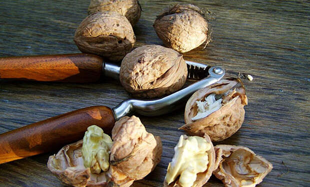 Самые целебные и вредные орехи для здоровья