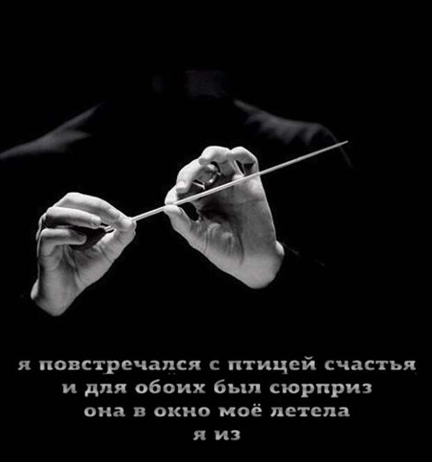 Кривые зеркала
