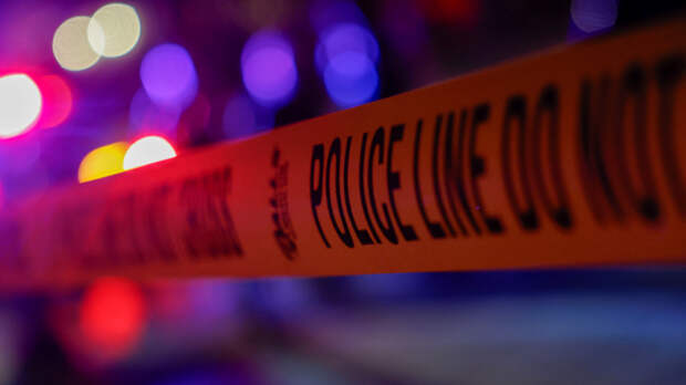 «Папа убил маму»: в США четырехлетняя девочка заявила в полицию на своего отца