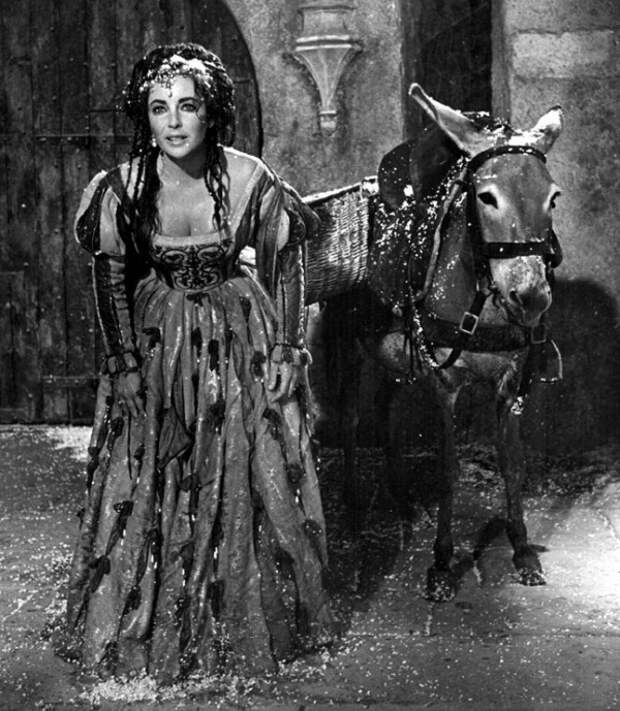 Элизабет Тэйлор в роли Катарины (Укрощение строптивой, 1967)