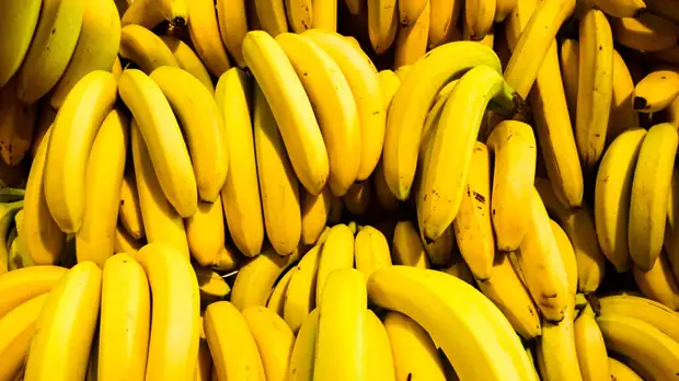 Врач Шарапова рассказала о пользе бананов