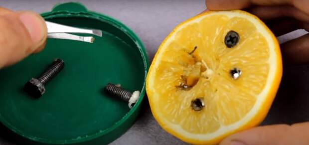 С помощью лимона можно реанимировать залежавшиеся винты и шурупы. /Фото: youtube.com