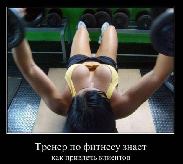 Похожее изображение