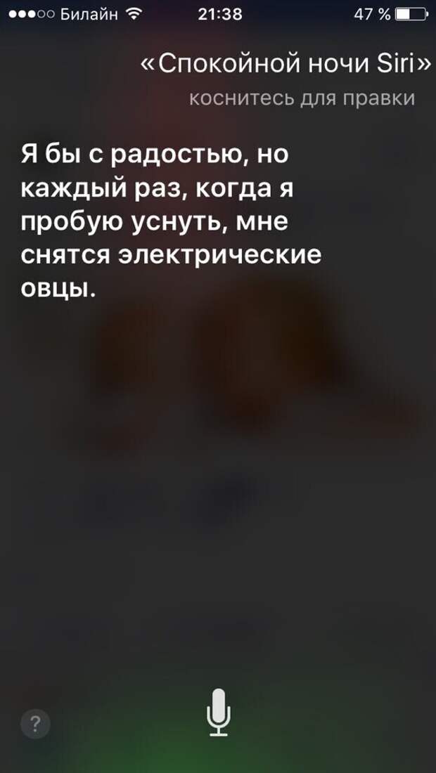 Сири голосовой. Сири. Сири поговорить. Siri помощник. Siri Beta поговорить.