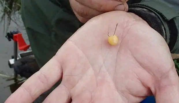 Гороховая мастырка своими руками.