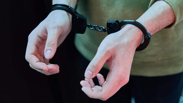 Задержан бывший главный редактор Readovka