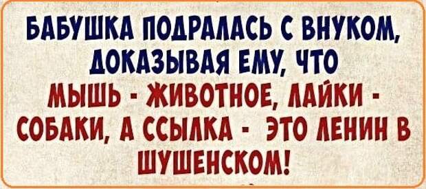 Картинки с надписями,истории и анекдоты