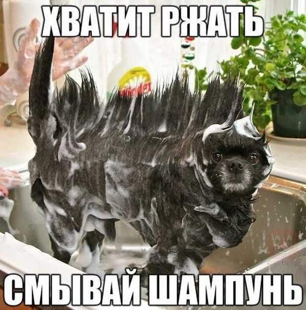 Подборка картинок. Вечерний выпуск (28 фото)