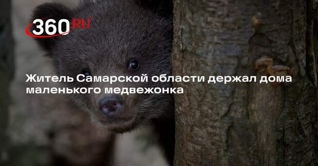 Житель Самарской области держал дома маленького медвежонка