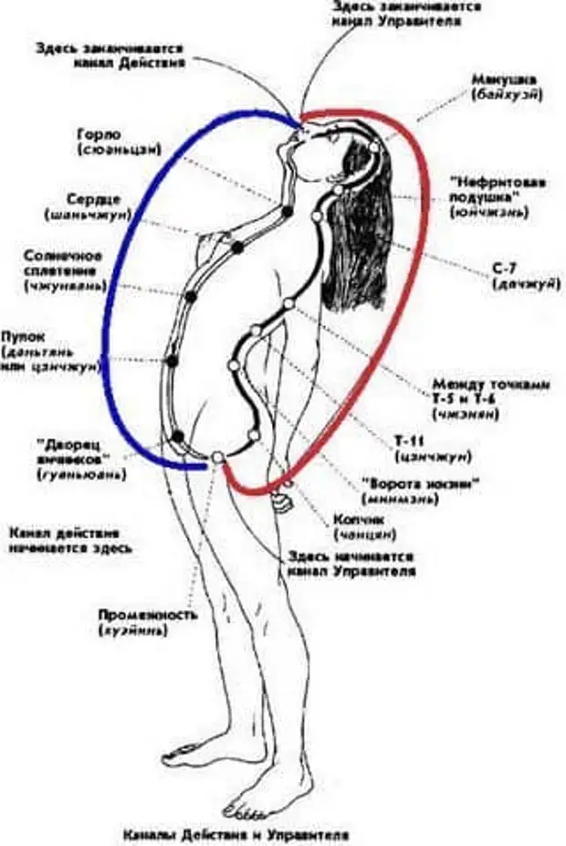 Точка а у женщин расположение рисунок