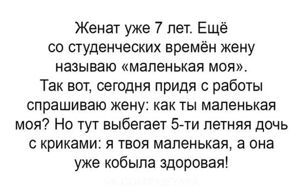 Прикольные картинки с надписями для настроения (11 фото)