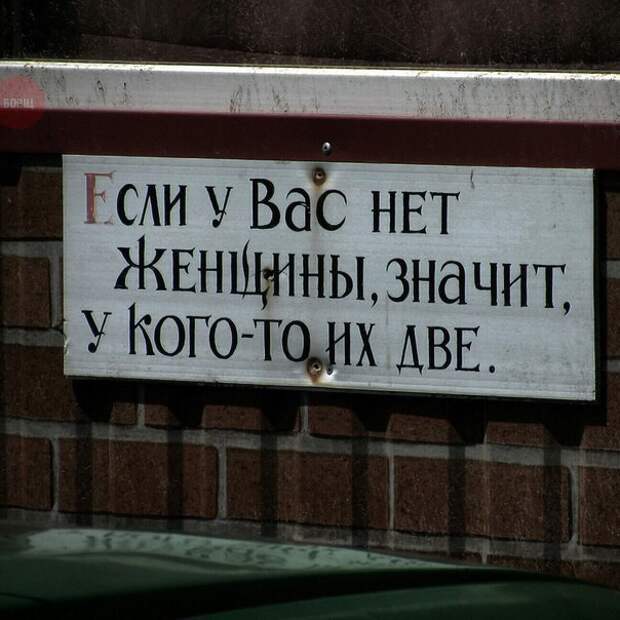 Смешные картинки с надписями (20 фото)