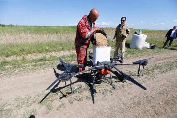 На Кубани дроны привлекли к выращиванию риса