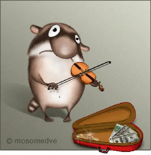 Хомяк со скрипкой. Хомяк скрипка. Свинья и скрипка. Мышь со скрипкой. Поросенок со скрипкой.