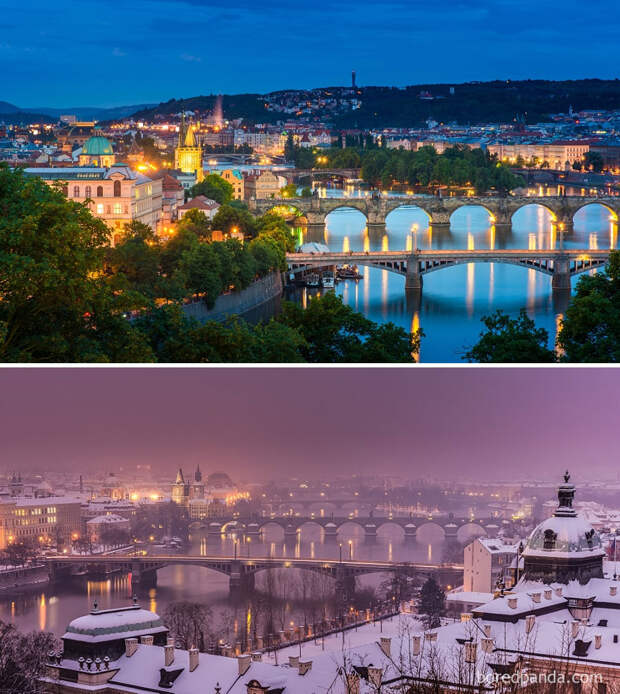 before-after-summer-winter-photography-changing-seasons-timelapse-100-585156d2db3ce__880